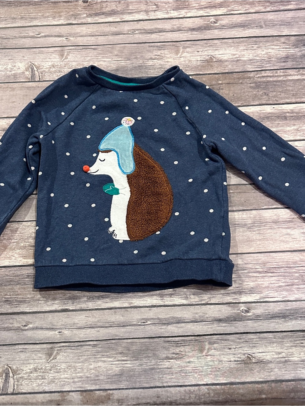 Mini Boden hedgehog blue sweatshirt fair wash wear size 5-6 years